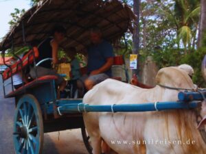 reiseführer sri lanka empfehlung